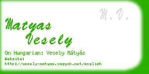 matyas vesely business card